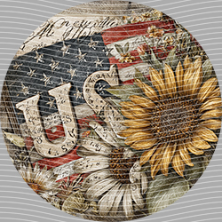 USA-MG 3923